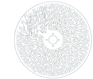 Animation wheel-png_1000W
